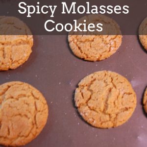 Spicy Molasses Cookie Recipe